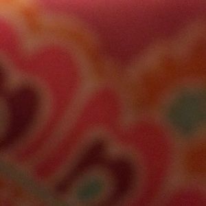 Meet your Posher, Karina